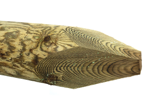 Pointed Deer Strainer 175-200mm x 3.1m