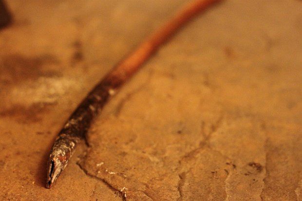 The only fireside tool you'll ever need...