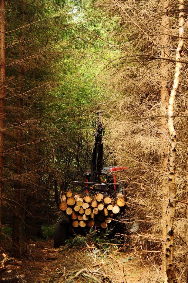 Single Rack Thinning - Longer lasting woods...