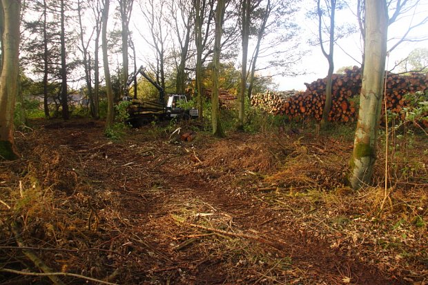 The second main extraction route with barely a mark left