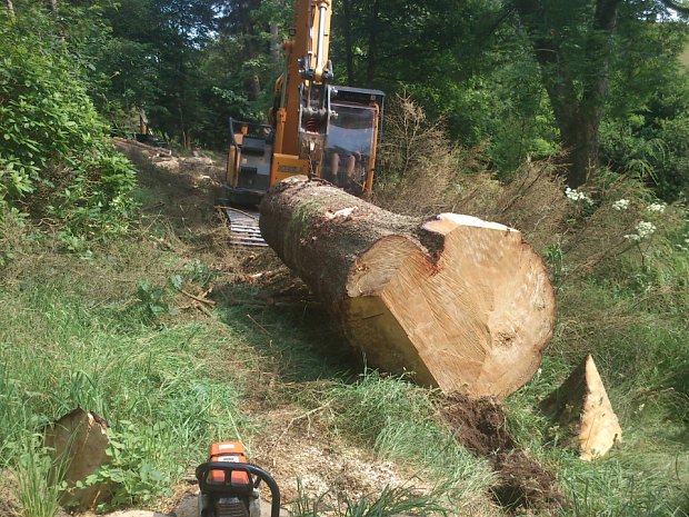 Dragging the butt out with our digger.