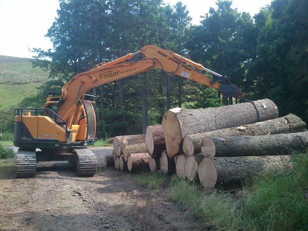 Stacking the massive logs ready for uplift.