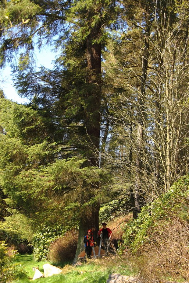 ...a little closer to help you spot them.