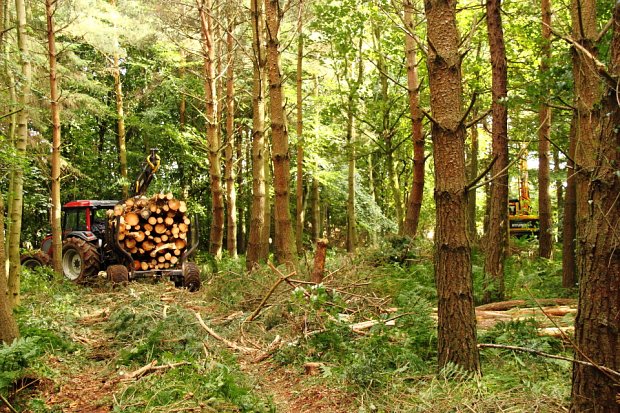 Sensitive timber extraction using our Valtra and trailer unit, causing very little ground damage