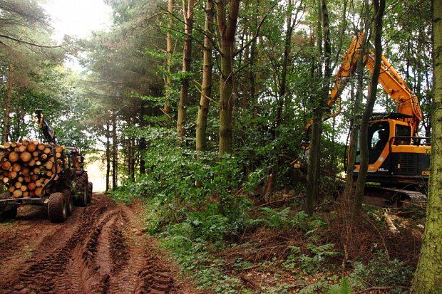 The two machines working side by side