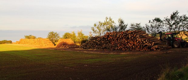Just about finished extracting and running out of stacking space for firewood