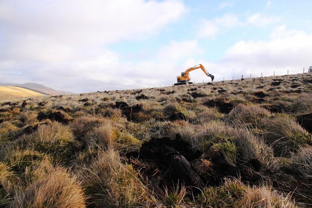 The resulting site with mounds at 2m spacing