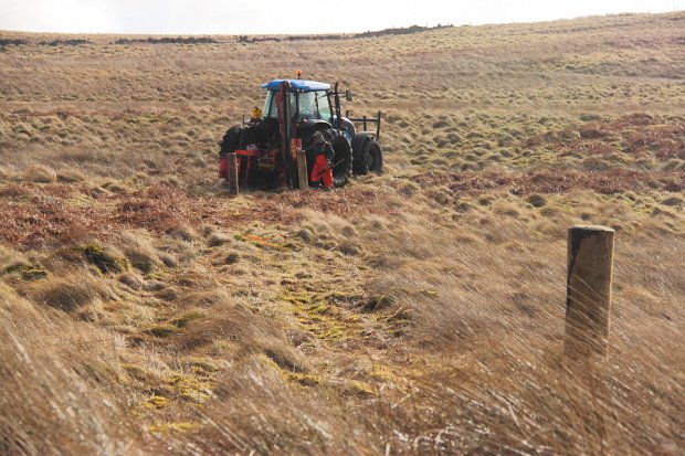 A gateway prior to hanging the nets on the new fences