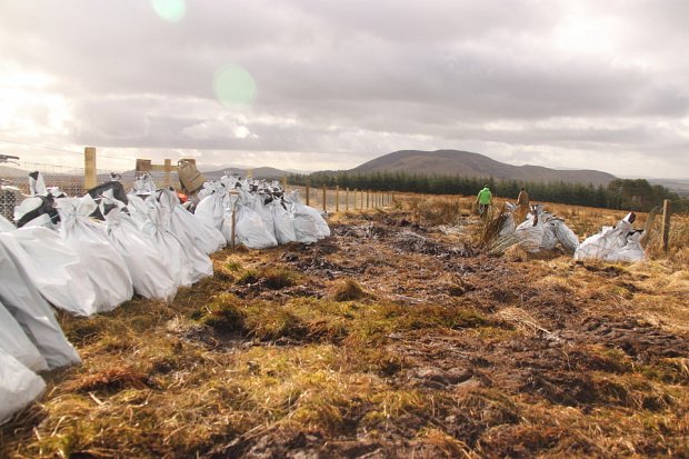 Bags of plants awaiting planting
