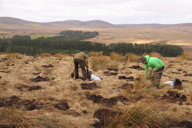 Chris and Alin busy at work