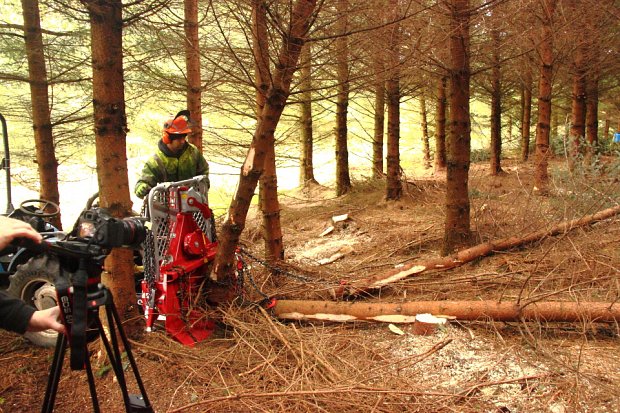 Darren winching the trees off their stumps and extracting them whole, leaving a clean woodland floor