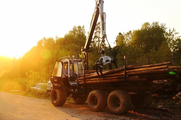 Malwa 560F forwarder in the Swedish evening sun