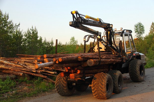 The neat little Malwa forwarder