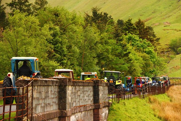 An unusual but colourful traffic jam