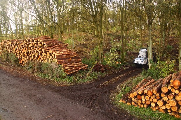 Extracting thinnings onto a farm road. This is at the end of the job when we had extracted about 400 tonnes with no damage to the road.