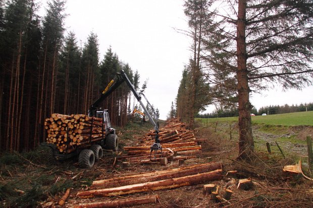 The Malwa working on a clearfell site alongside our harvester.
