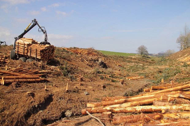 Extracting fencing materials out of a steep gully, here running on brash meant that no traction aids were required.