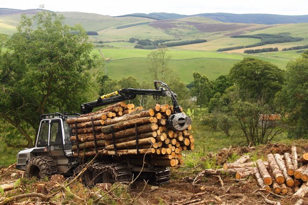 Fitted with tracks and chains to work steep compartments with a wet, cross slope extraction route.